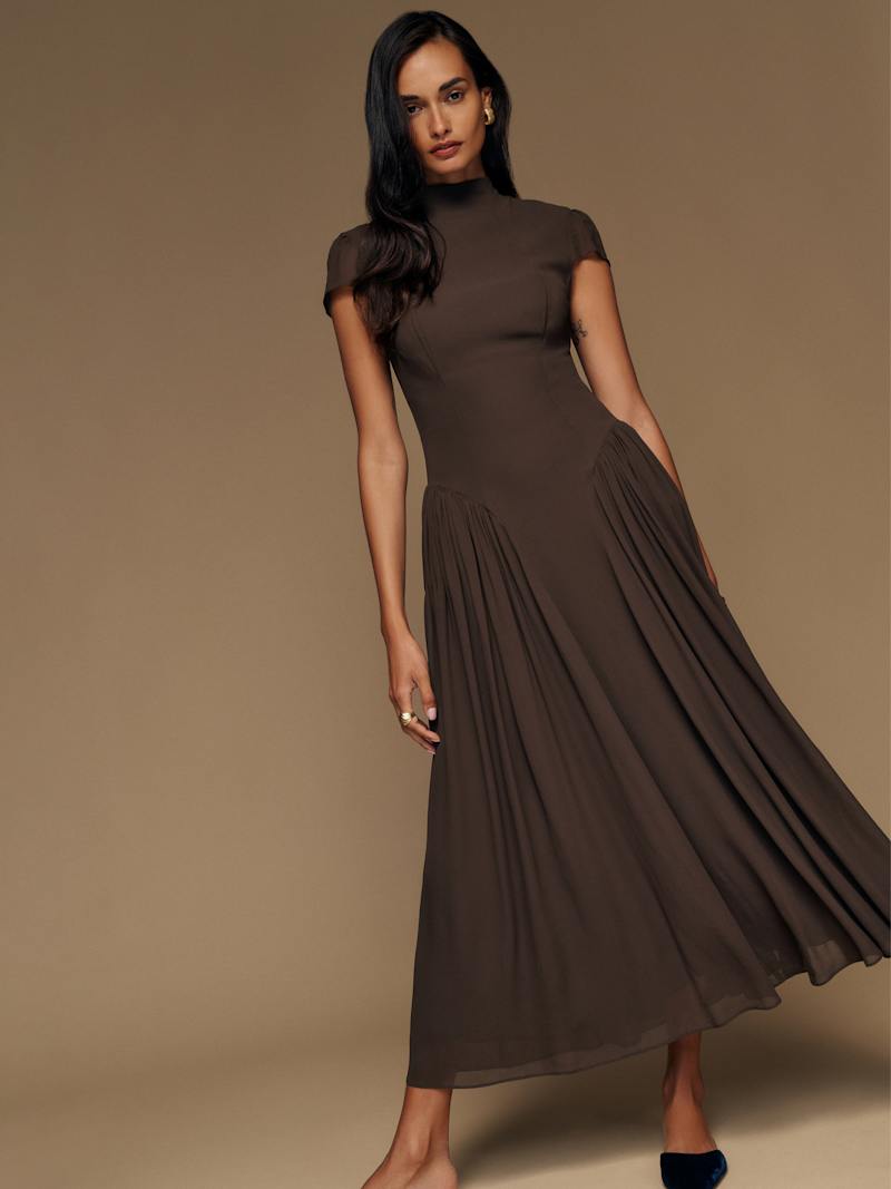 A woman wearing a long, brown Viscose georgette dress with a mock neck, fitted bodice, and a flowing pleated skirt.
